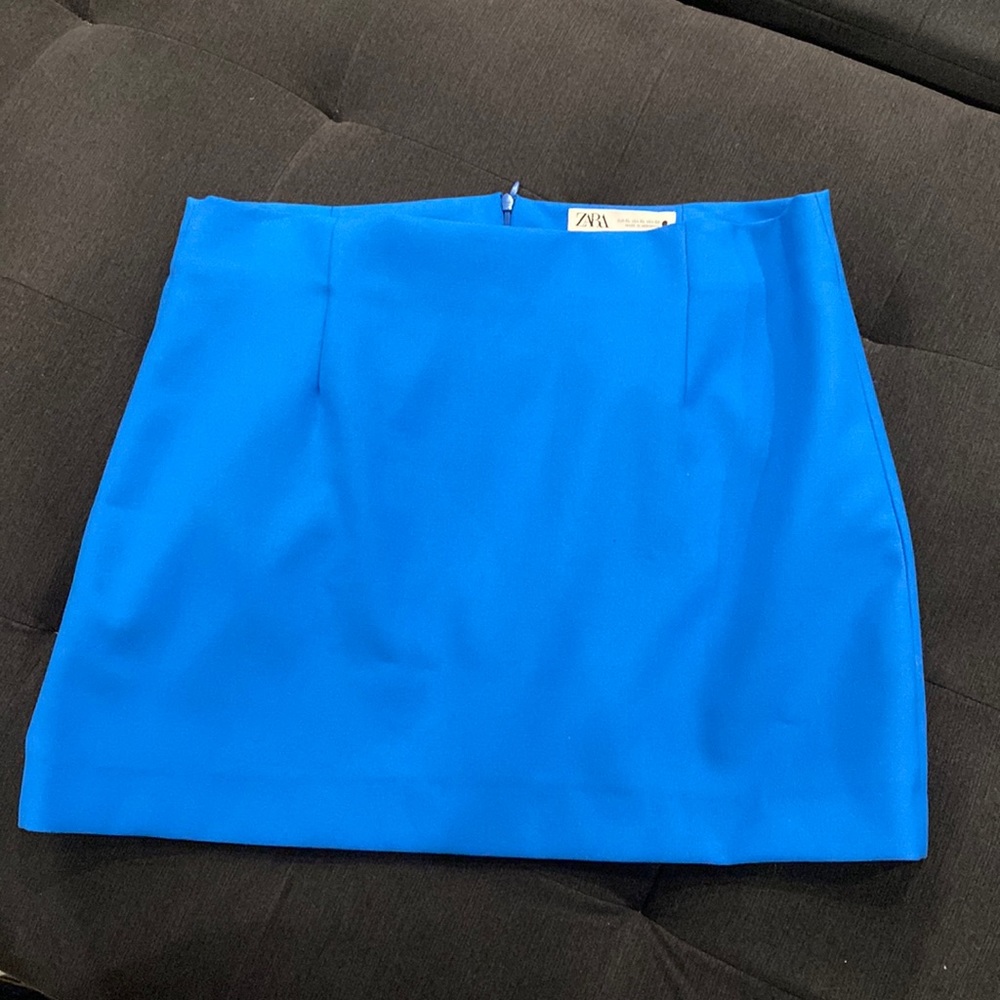 Zara Mini Skirt